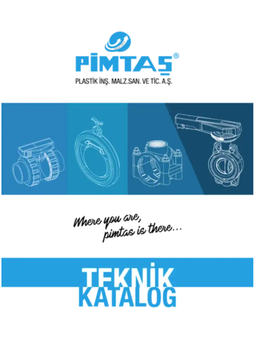 Pimtaş | Kataloglar